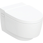 146.210.11.1 AquaClean Mera Comfort подвесной унитаз-биде, белый 250_100_Array